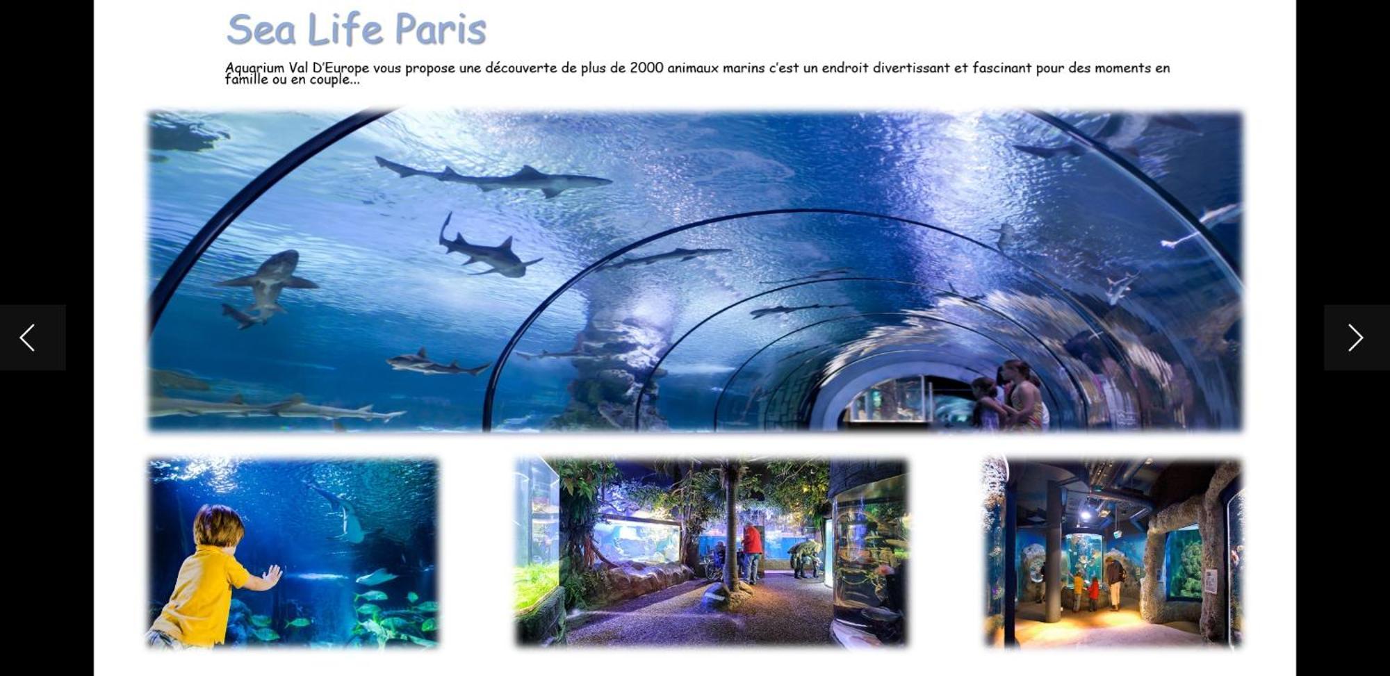 Duplex A 5Min De Disneyland Paris Leilighet Montévrain Eksteriør bilde